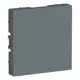 Заглушка Systeme Electric AtlasDesign цвет грифель 2 шт.