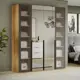 Шкаф распашной Трия 180x217x58 см ЛДСП цвет блоня беллуно/графит/стекло сатин черное