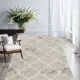 Ковер Agnella Magic Eveil grey 160x220 см шерсть