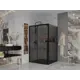 Душевая перегородка Ambassador 110IBB 110x200см черный профиль