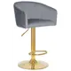 Барный стул Dobrin Darcy gold lm-5025 51x107x46 см цвет серый