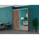 Шкаф-купе Мебельная Компания Е1 2 дверный 220x180x45 см зеркало 9 полок ЛДСП цвет крафтовый дуб