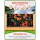 Фотосетка Art ФС249 Оранжевый бальзамин 320x155см