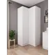 Шкаф распашной Дсв мебель 52179 96x210x50.4 см ЛДСП цвет белый