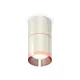 Светильник точечный накладной Ambrella light Xs7405081 2 м² цвет серебро