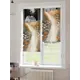 Рулонная штора At Home Лимкис AT782510052 52x170 см, цвет бежевый