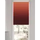 Рулонная штора блэкаут At Home Анзара AT783270057 57x170 см, цвет красный