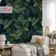 Фотообои флизелиновые Bartonwall 200x270 см Растения Листья M174