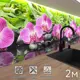 Стеновая панель Фартукофф Орхидеи 200x60x0.15 см ПВХ цвет разноцветный