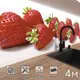 Стеновая панель матовая Фартукофф ФФ - 10 400x60x0.15 см ПВХ цвет белый/красный