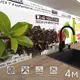 Стеновая панель Фартукофф ФФ - 120 400x60x0.15 см ПВХ цвет белый/зеленый/коричневый