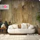 Фотообои флизелиновые Bartonwall 400x270 см Абстракция Узор Поверхности M200