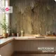 Фотообои флизелиновые Bartonwall 600x270 см Абстракция Узор Поверхности M200