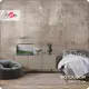 Фотообои флизелиновые Barton wall M20105-B 500x270 см M20105-B