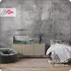 Фотообои флизелиновые Barton wall M20106-G 600x270 см M20106-G