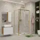 Душевой уголок Niagara Nova 477158 прямоугольный 100x80см золотистый профиль эффект стекла прозрачный