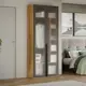 Шкаф распашной Трия 90x217x36.6 см ЛДСП цвет яблоня беллуно/графит/стекло сатин черное