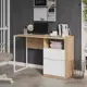 Компьютерный стол Трия Тип 1 246932 110x75x50 см ЛДСП цвет дуб крафт золотой