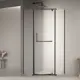 Душевой уголок Rgw Passage 646281 пятиугольный 120x120см черный профиль эффект стекла без покрытия