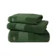 Полотенце Lacoste Super для ванной 50x100 см зеленый