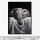 Картина Artnomore Fragility of feelings 2024г. AR-777000948 75x105 см