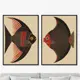Набор картин Artnomore Angel Fish drawing 2024г. AR-777000913 75x105 см 2 шт