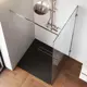 Душевая перегородка Am.pm 646074 90.4x195см серебро профиль