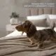 Кровать Izzihome Kelly 129x100x212 см дсп цвет темно-бежевый