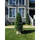 Искусственное дерево Туя Crystal Trees ТУ-210 210 см
