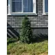 Искусственное дерево Туя Crystal Trees ТУ-60 60 см