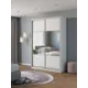 Шкаф-купе Клевер Атина комбинированный 240x150х58 см 6 полок лдсп цвет белый