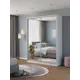 Шкаф-купе Клевер Атина зеркальный 240x190х58 см 6 полок лдсп цвет белый