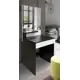 Туалетный столик с зеркалом Нева ТЛС 60x147x45 см цвет венге