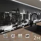 Стеновая панель матовая Фартукофф ФФ - 154 200x60x0.15 см ПВХ цвет белый/черный