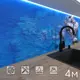 Стеновая панель Фартукофф ФФ - 160 400x60x0.15 см ПВХ цвет сине-зеленый
