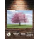 Картина Полицентр Дерево цветущей сакуры 50x70 см