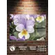 Картина Полицентр Капли росы на фиалке 30x40 см