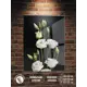Картина Полицентр Красивые цветы черный фон 70x50 см