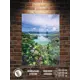 Картина Полицентр Красивый вид на озеро 70x50 см