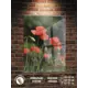 Картина Полицентр Красные маки на лужайке 70x50 см
