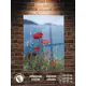 Картина Полицентр Красные маки у воды 70x50 см