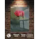 Картина Полицентр Красный дикий пион 70x50 см