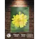 Картина Полицентр Милый желтый цветок 70x50 см