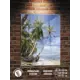 Картина Полицентр Тропики и берег моря 40x30 см