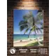 Картина Полицентр Тропический берег океана 50x40 см