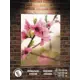 Картина Полицентр Цветы персика на ветке 40x30 см