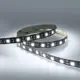 Светодиодная лента Eleganz Lux 5050 60 LED (14.4W/M) 12V холодная 6000К ЧЕРНАЯ ОСНОВА, 5м