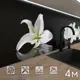 Стеновая панель Фартукофф ФФ - 224 400x60x0.15 см ПВХ цвет белый/черный