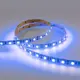 Светодиодная лента Eleganz Lux 5050 60 LED (14.4W/M) 12V СИНЯЯ IP20, 5м