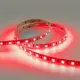 Светодиодная лента Eleganz Lux 5050 60 LED (14.4W/M) 12V КРАСНАЯ IP20, 5м